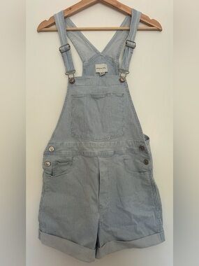 American Eagle Outfitters Blue and White Striped Shorts Overalls